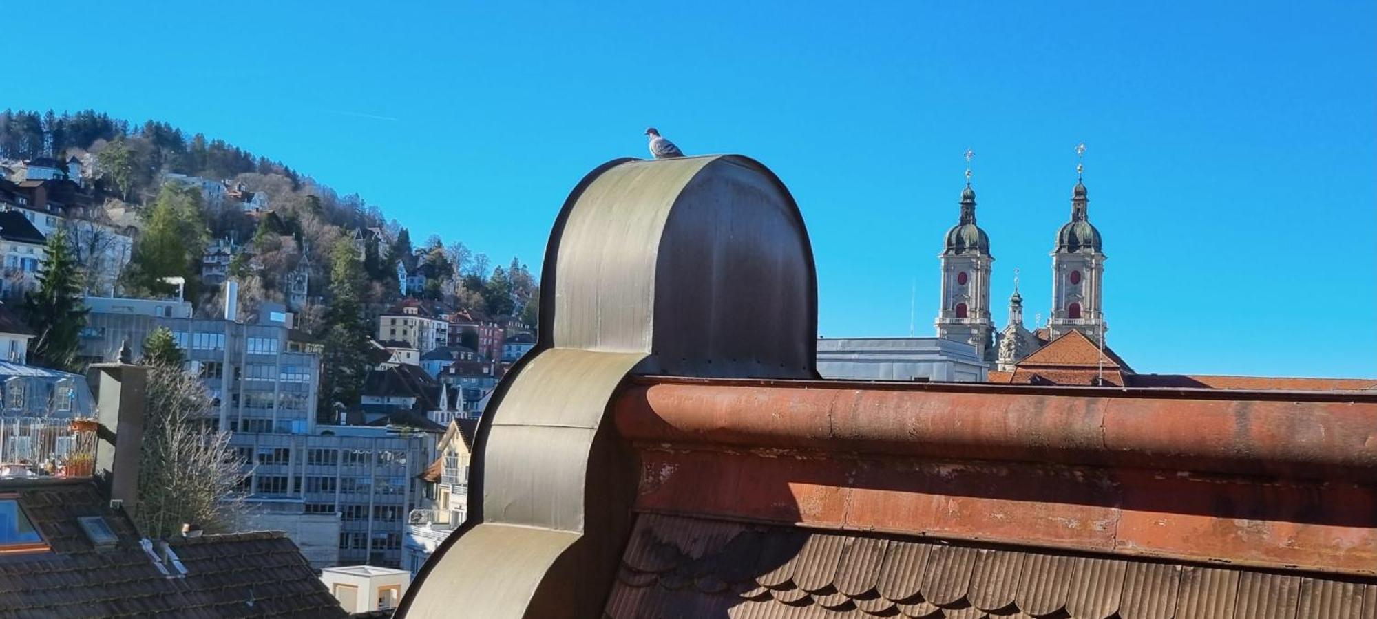 Ruhige, Neue Dachwohnung An Altstadt, Naehe Messe St. Gallen Ngoại thất bức ảnh